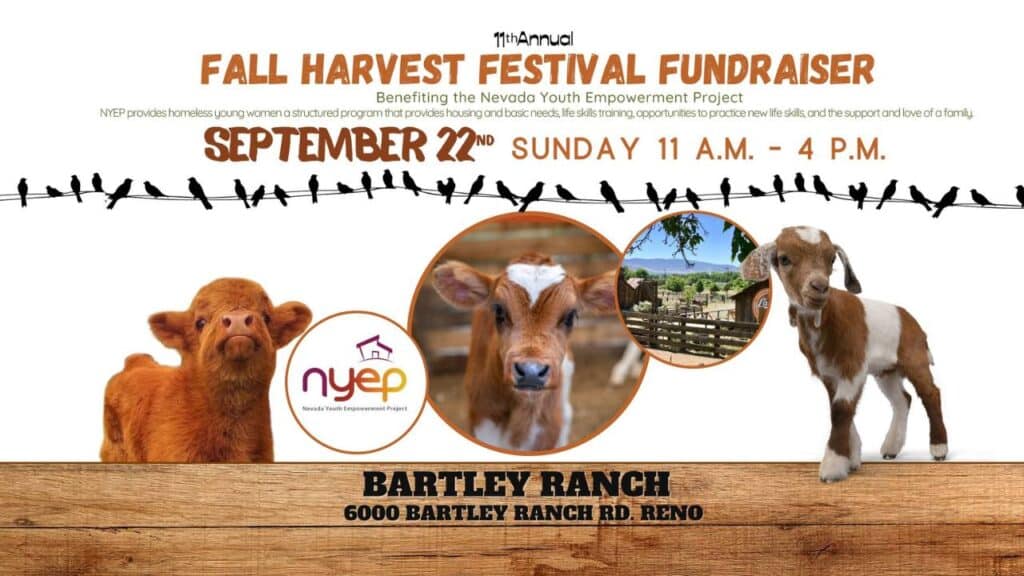 The 11th Annual Fall Harvest Festival Benefitting the Nevada Youth Empowerment Project is Coming Up!